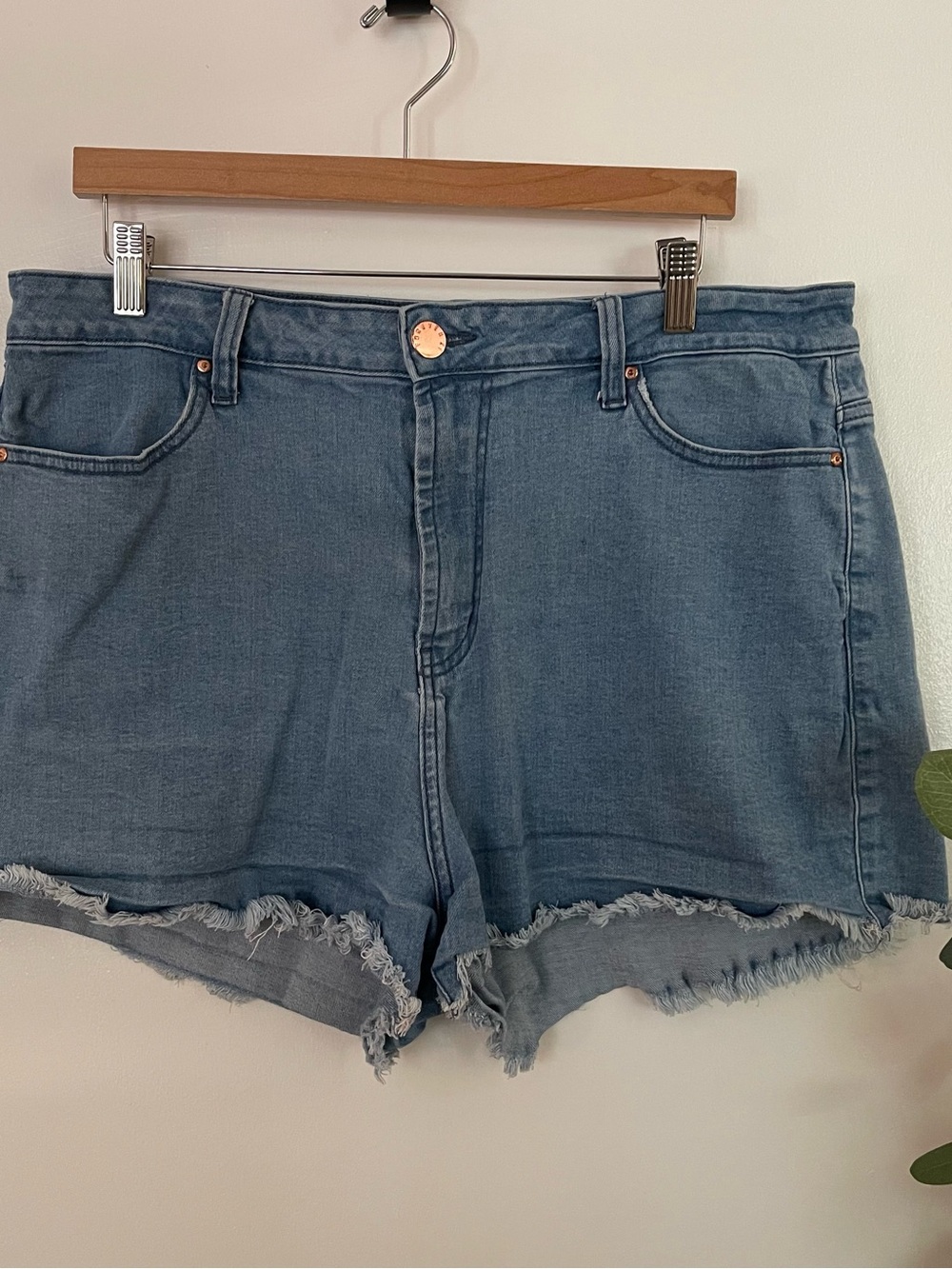 Forever 21 Light Blue Frayed Hem Denim Shorts